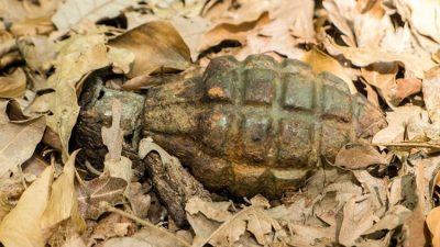 Ilustrasi Granat Nanas