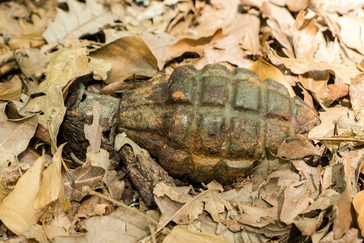 Ilustrasi Granat Nanas