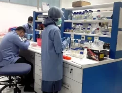PAFI Kabupaten Bengkalis Terapkan Konsep “Farmasi Hijau” untuk Kelestarian Lingkungan