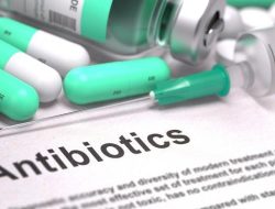 PAFI Sofifi Gencarkan Upaya Pencegahan Resistansi Antibiotik di Maluku Utara
