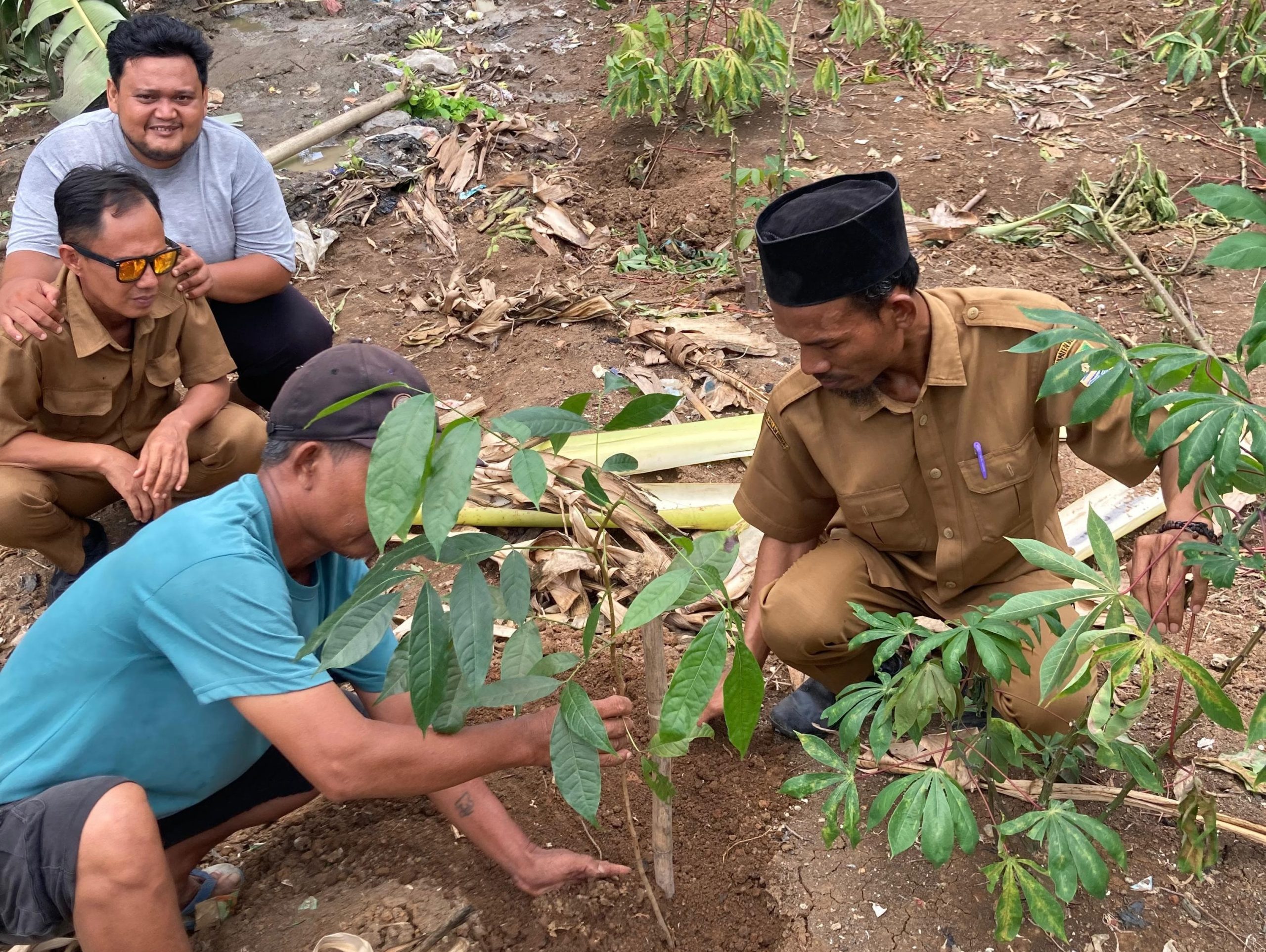 Dinas Lingkungan Hidup (DLH) Kabupaten Bekasi mencanangkan program penanaman bibit pohon yang berkolaborasi dengan Non-Governmental Organization (NGO) yakni Bambu Foundation untuk ditanam di setiap area bekas lahan Tempat Pembuangan Sampah (TPS) Liar.