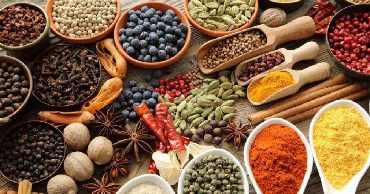 Ilustrasi bahan obat - obatan tradisional