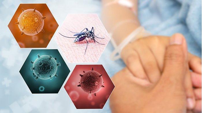 Ilustrasi terkena DBD