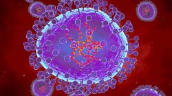 Bekasi Nihil Kasus Nipah, Dinkes Perketat Skrining Fasilitas Kesehatan