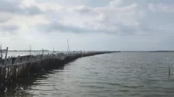 Pagar Laut di Pantai Makmur Bekasi