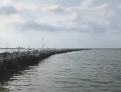Bareskrim Temukan Sertifikat Tanah Laut Bekasi Digadaikan ke Bank