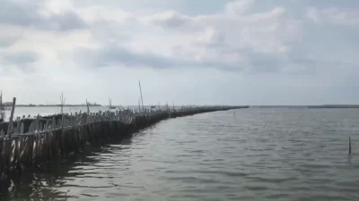 Pagar Laut di Pantai Makmur Bekasi