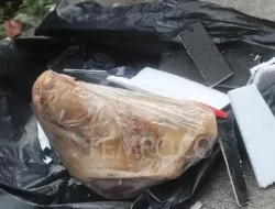 Istana Tak Mau Dikaitkan Soal Pengiriman Kepala Babi ke Kantor Tempo
