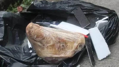 Paket berisi kepala babi yang ditujukan kepada wartawan Tempo, Francisca Christy Rosana di kantor Tempo, Palmerah, Jakarta, 20 Maret 2025.