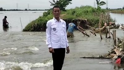 Kepala Desa Buni Bakti, Sidi Sumardi meninjau banjir yang merendam ratusan hektar persawahan. Foto: Ist