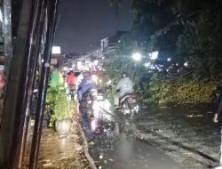 Hujang Angin, Pohon Tumbang di Dekat SMP 1 Kota Bekasi
