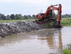 Perbaikan Tanggul Irigasi Jebol di Pebayuran Dipercepat
