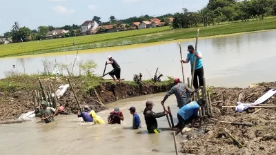 Tanggul Irigas di Pebayuran Jebol, Warga Gotong Royong Perbaiki