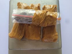 Dua Pengedar Ganja di Bekasi Ditangkap, Polisi Sita Barbuk 502 Gram