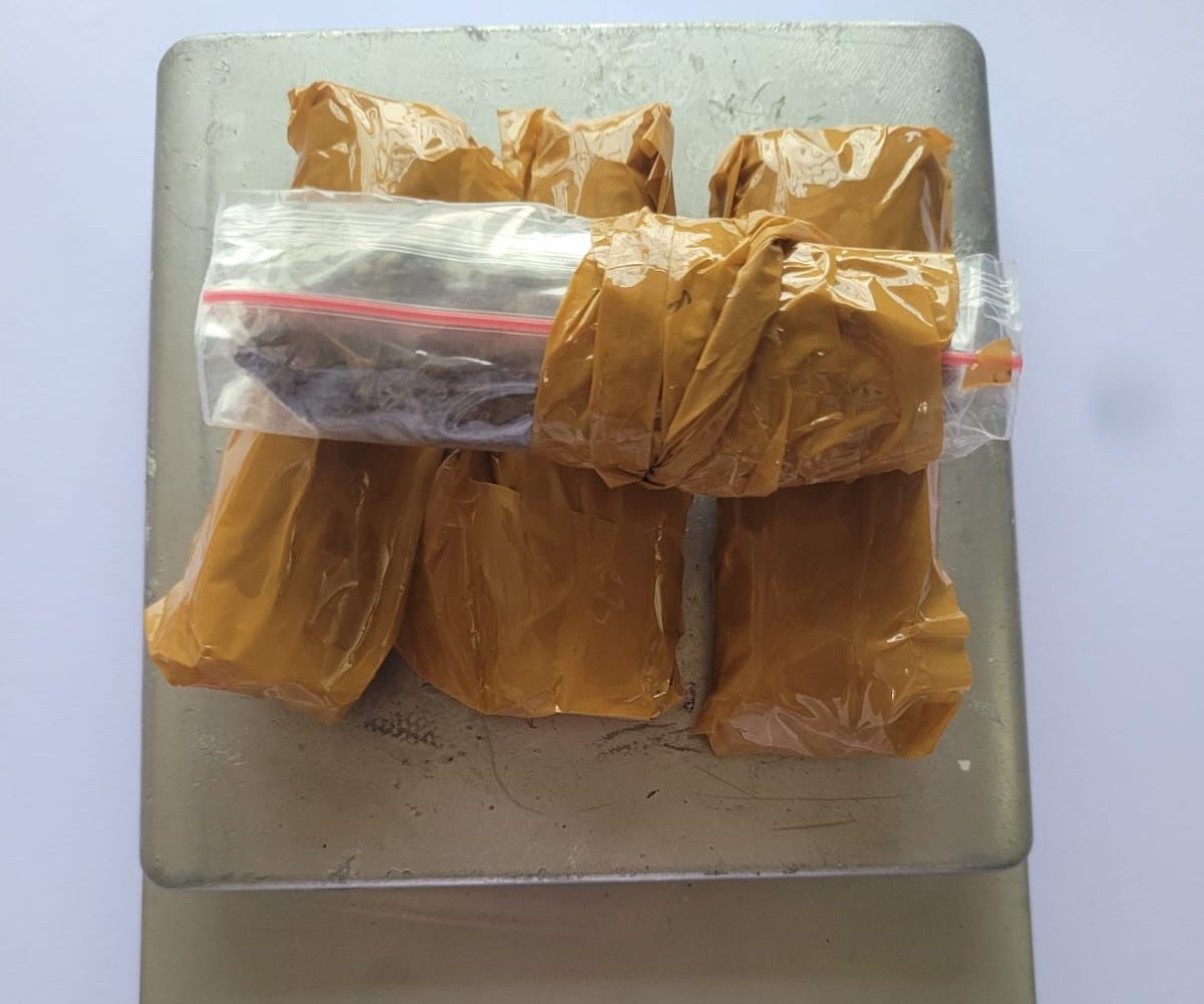 Barang bukti narkotika jenis ganja disita Polres Metro Bekasi Kota. Foto: Ist