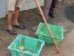 Menyamar Jadi Tukang Buah, Pencuri Motor Ketua RT di Cikarang Barat Ditangkap Polisi