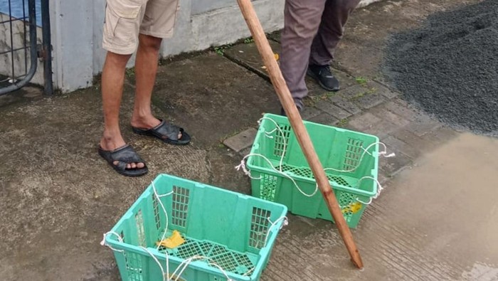 Panggulan buah yang ditinggal oleh pelaku. Foto: Ist