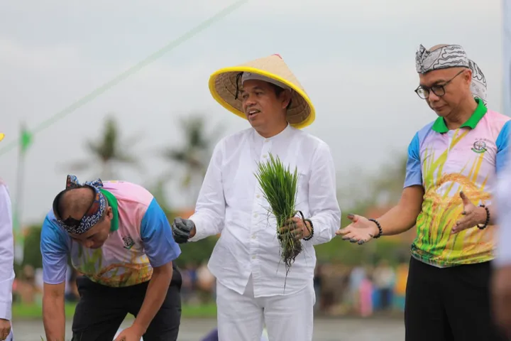 Kabupaten Bekasi - Gubernur Jawa Barat Dedi Mulyadi menghadiri Kegiatan Seremonial Penanaman Bibit Padi Bersama Jaksa Agung dan Menteri Pertanian RI di Desa Srimahi Kecamatan Tambun Utara, Kab. Bekasi /Biro Adpim Jabar