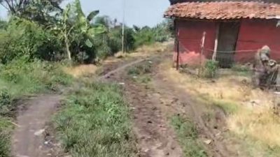 Kabupaten Bekasi - Jalan di Kampung Pisang Batu, Desa Karang Segar, Kecamatan Pebayuran, Kabupaten Bekasi masih memprihatinkan. Foto: Gobekasi.id