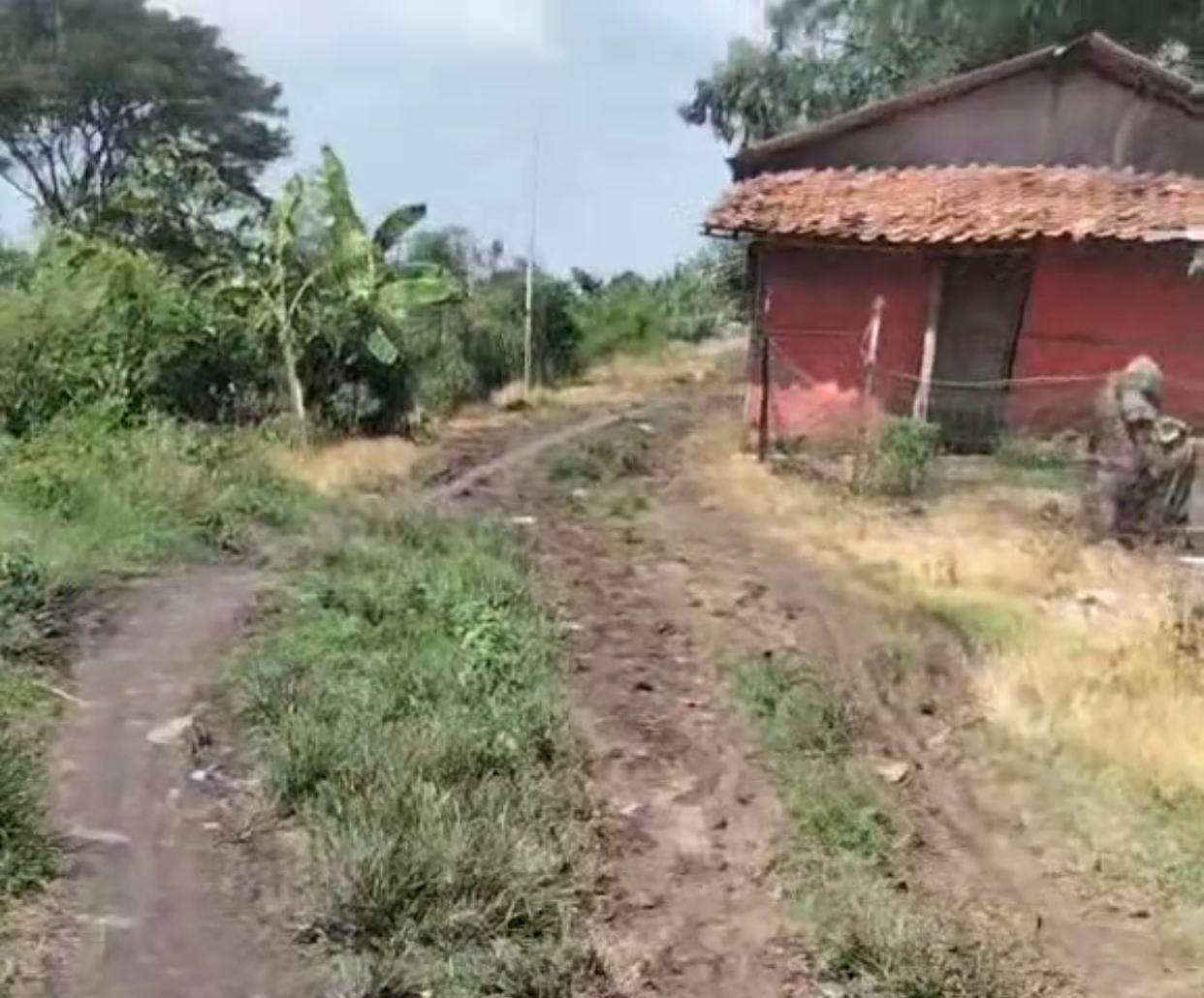 Kabupaten Bekasi - Jalan di Kampung Pisang Batu, Desa Karang Segar, Kecamatan Pebayuran, Kabupaten Bekasi masih memprihatinkan. Foto: Gobekasi.id