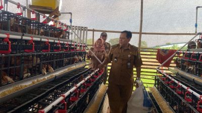 Kabupaten Bekasi - Camat Sukatani, Agus Dahlan meninjau Budidaya Telur