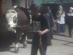 Presiden Prabowo Salurkan Tiga Ekor Sapi Kurban untuk Masyarakat Kabupaten Bekasi