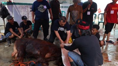 Kota Bekasi - Wakil Wali Kota Bekasi, Abdul Harris Bobihoe, memimpin secara langsung prosesi penyembelihan hewan kurban di halaman Masjid Al-Istiqomah, RW 014, Kelurahan Bekasi Jaya, Kota Bekasi, Selasa (7/6/2025).