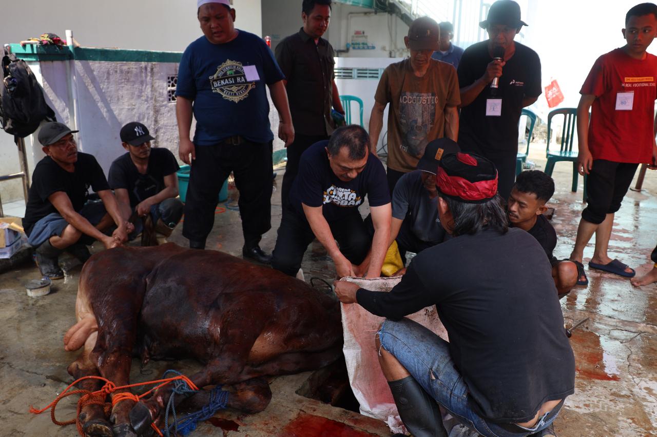 Kota Bekasi - Wakil Wali Kota Bekasi, Abdul Harris Bobihoe, memimpin secara langsung prosesi penyembelihan hewan kurban di halaman Masjid Al-Istiqomah, RW 014, Kelurahan Bekasi Jaya, Kota Bekasi, Selasa (7/6/2025).
