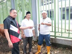 Wali Kota Bekasi Serahkan Sapi Kurban untuk Atlet dan Masyarakat dalam Semangat Iduladha