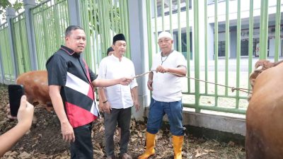 Kota Bekasi - Wali Kota Bekasi Tri Adhianto menyerahkan secara simbolis seekor sapi kurban kepada para atlet dan masyarakat di halaman Kantor Komite Olahraga Nasional Indonesia (KONI) Kota Bekasi, Sabtu pagi (7/6/2025).