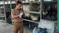 Kabupaten Bekasi - Sidak lapak hewan kurban di Kabupaten Bekasi.