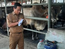 Bekasi Turunkan Tim Pemeriksa Hewan Kurban, Fokus Deteksi Penyakit dan Edukasi Warga
