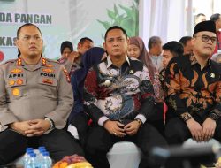 Pemkab Bekasi Dukung Program Ketahanan Pangan Nasional, Fokus Garap Lahan Tidur dan Infrastruktur Pertanian