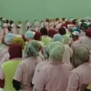 Gelombang PHK di Bekasi, Ratusan Pekerja Manufaktur Terdampak