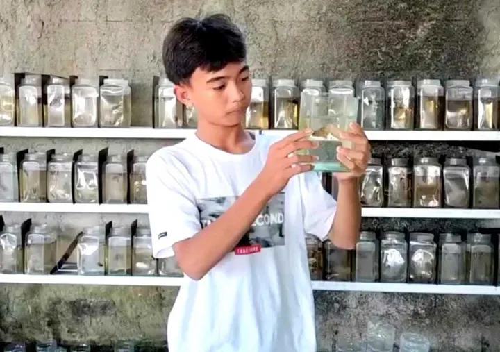 Kabupaten Bekasi - Warga menunjukkan cupang yang dibagikan untuk mencegah penyebaran penyakit demam berdarah dengue di Desa Sriamur, Kecamatan Tambun Utara, Kabupaten Bekasi, Kamis (3/7/2025). Foto: Pikiran Rakyat