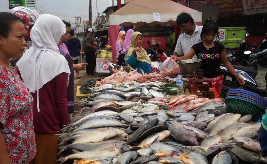 Kota Bekasi - Pedagang Ikan di Bekasi