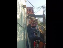 Heboh! Ular 4 Meter Bersarang di Plafon Rumah Warga Bekasi Utara