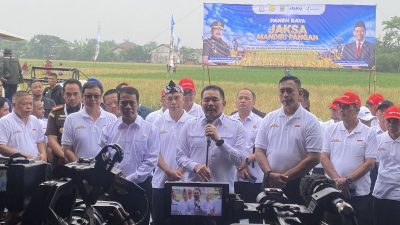 Kabupaten Bekasi - Kejaksaan Agung (Kejagung) memanen 32 ton padi variates cakrabuana di lahan hasil sitaan terpidana kasus korupsi Asabri, Benny Tjokrosaputro di Desa Srimahi, Tambun Utara, Kabupaten Bekasi, Selasa (19/8/2025). Foto: Kompas.com