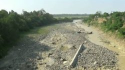 Sawah Mengering, Petani Bekasi Krisis Air di Musim Kemarau