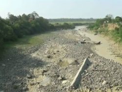 Sawah Mengering, Petani Bekasi Krisis Air di Musim Kemarau