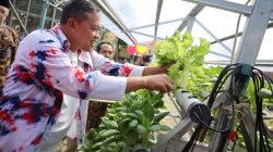 Kota Bekasi - Wali Kota Bekasi Tri Adhianto mengunjungi Rumah Batik Lansia Selasih yang berlokasi di RW 09 Kelurahan Jatiluhur, Kecamatan Jatiasih. Rumah batik ini menjadi wadah kreatif sekaligus sarana pemberdayaan bagi para lanjut usia (lansia) dalam berkarya melalui seni membatik.