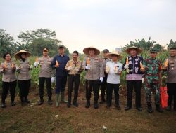 Polres Metro Bekasi Kota Panen Raya Jagung Kuartal III untuk Dukung Ketahanan Pangan Nasional