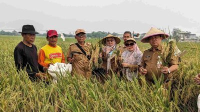 Kabupaten Bekasi - Dinas Pertanian Kabupaten Bekasi bersama kelompok petani tengah melakukan penyuluhan cara menanggulangi hama. Foto: Ist