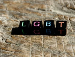 MUI Bekasi Sebut Kasus LGBT Meledak Ribuan Persen, Diduga Capai 5.600 Kasus dalam Setahun