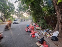 Sampah Menumpuk di Jalan H Nonon Sonthanie, Bau Menyengat Ganggu Warga