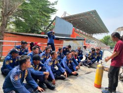 Damkar Kabupaten Bekasi Lebih Sibuk Evakuasi Tawon dan Ular daripada Kebakaran