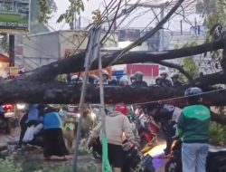 Pohon Tumbang Tutup Akses Jalan di Bekasi, Diduga Akibat Pembakaran Sampah