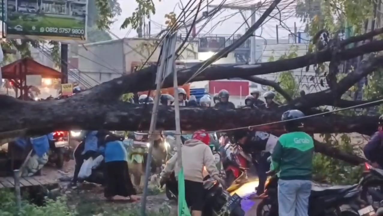 Kota Bekasi - Pohon Tumbang di Jalan Kaliabang Tengah akibatkan kemacetan panjang, Selasa (21/10/2025). Foto: Septian/Gobekasi.id.