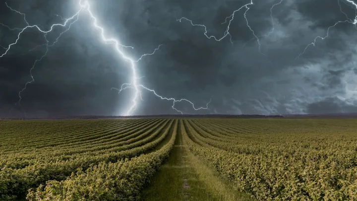 Bekasi - Ilustrasi petir ditengah sawah