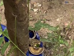 Tukang Rongsok Tewas Akibat Ledakan Proyektil di Babelan